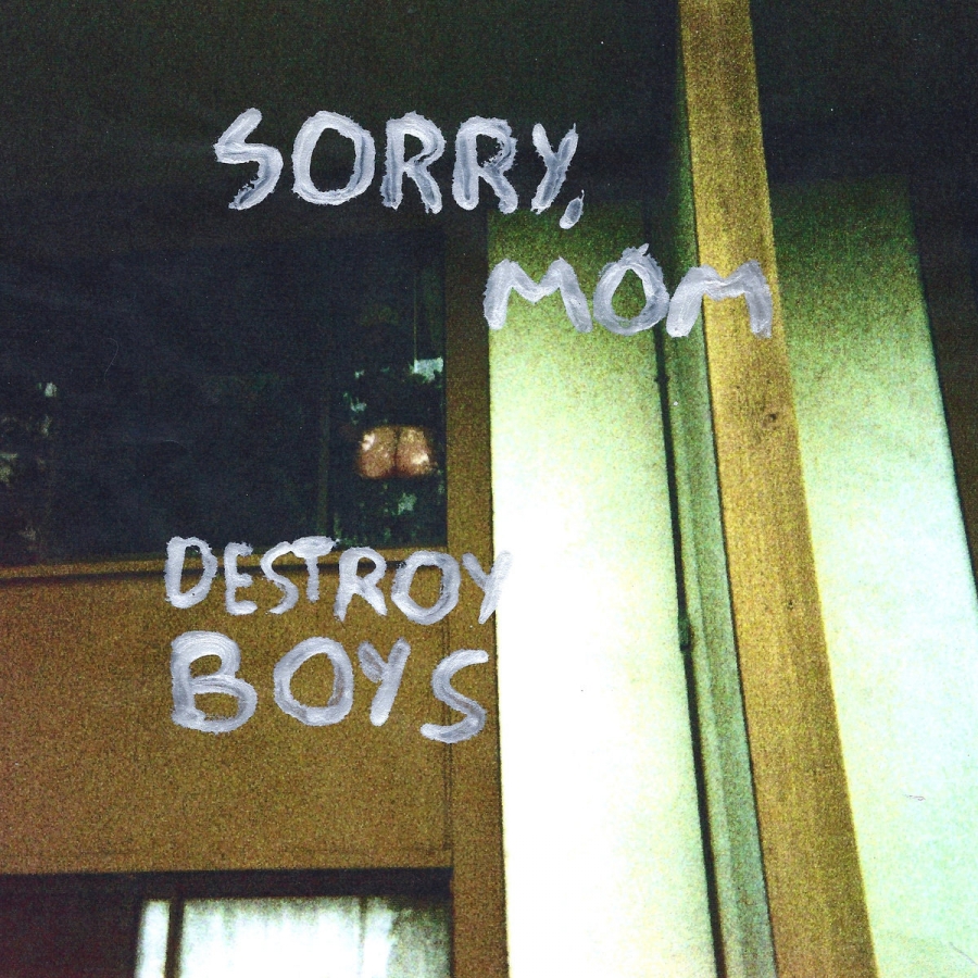 Destroy Boys — I Threw Glass At My Friend&#039;s Eyes And Now I&#039;m On Probation cover artwork
