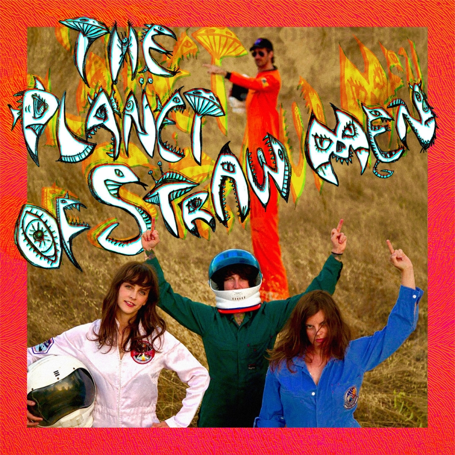Tropical Fuck Storm — The Planet of Straw Men cover artwork