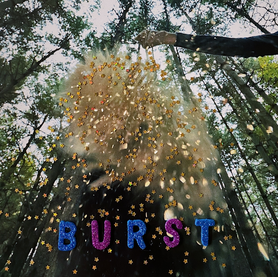Snarls Burst cover artwork