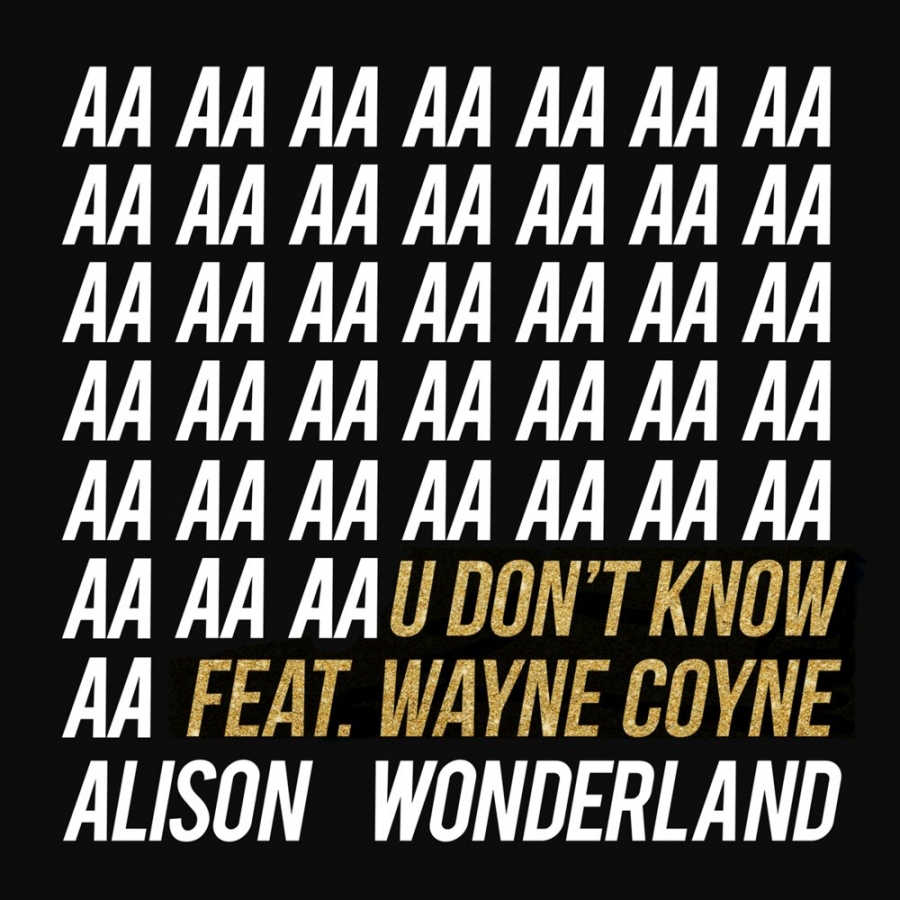 Alison Wonderland ft. featuring Wayne Coyne U Don&#039;t Know cover artwork