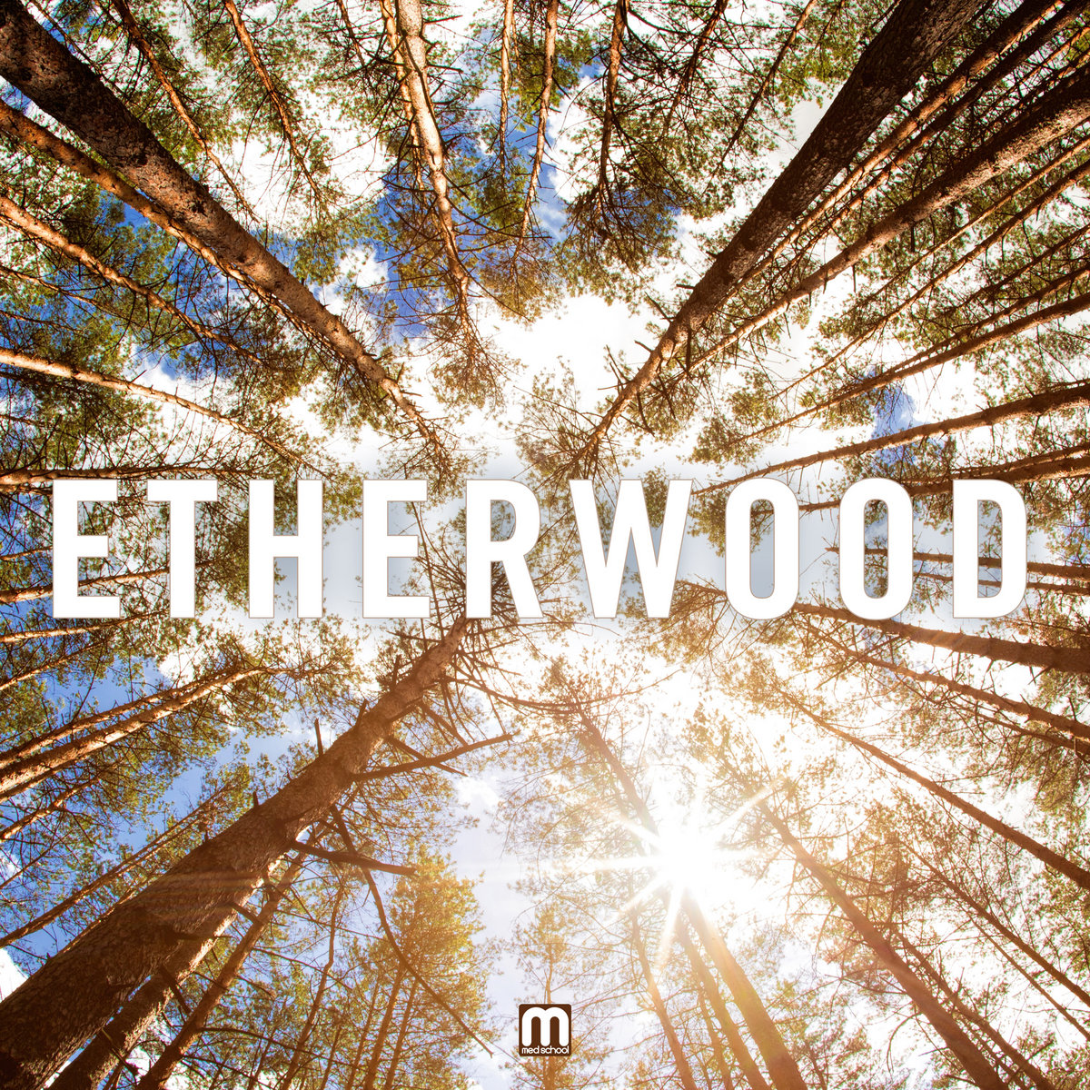 Etherwood featuring Laurelle Robichaud — Unfolding cover artwork