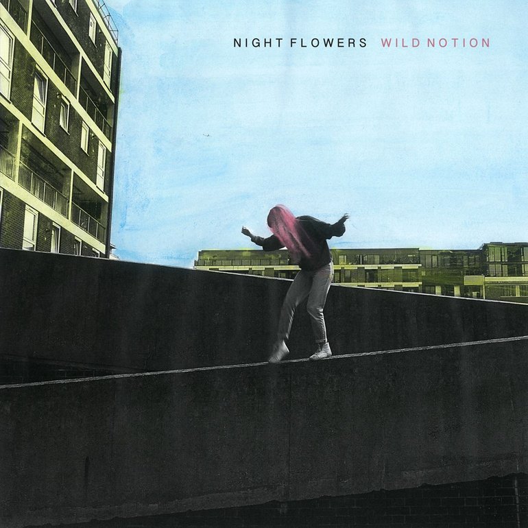 Night Flowers — Fireworks cover artwork