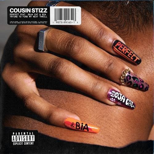 Cousin Stizz ft. featuring Doja Cat & BIA Perfect (Remix) cover artwork