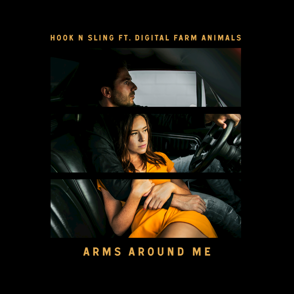 Hook N Sling featuring Digital Farm Animals — Arms Around Me cover artwork