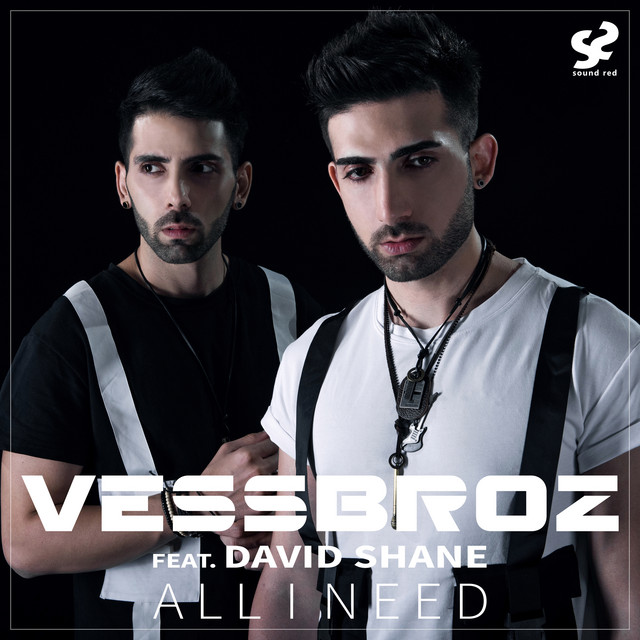 Vessbroz ft. featuring David Shane All I Need cover artwork