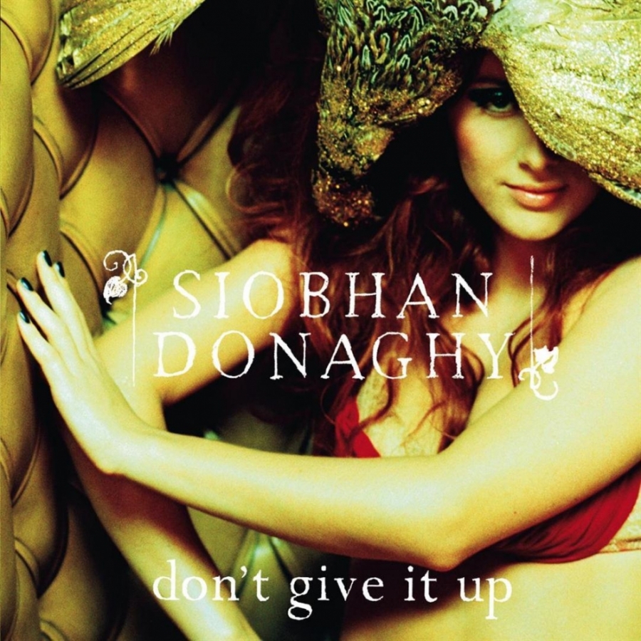 Siobhán Donaghy — Don&#039;t Give It Up cover artwork