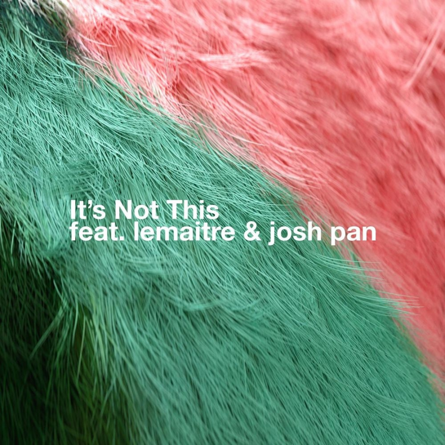 Bearson featuring Lemaitre & josh pan — It&#039;s Not This cover artwork