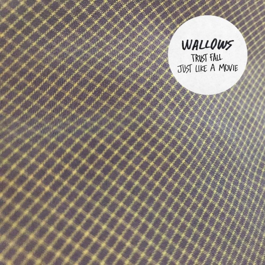 Wallows — Trust Fall cover artwork