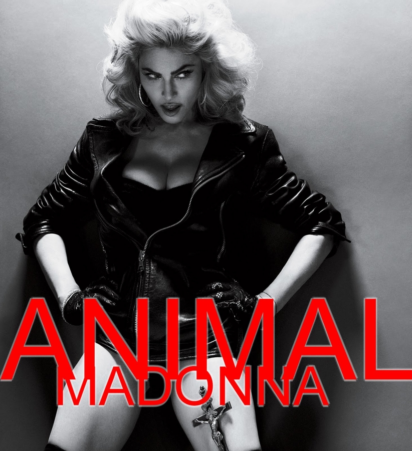 Madonna — Animal cover artwork