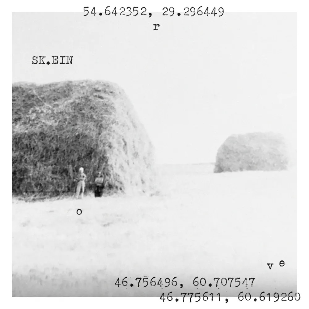 SK.EIN Rove cover artwork