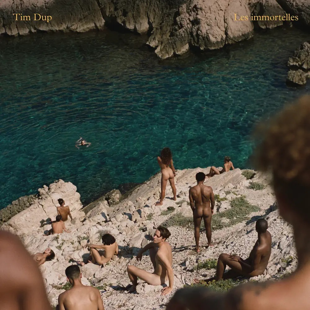 Tim Dup — Les immortelles cover artwork