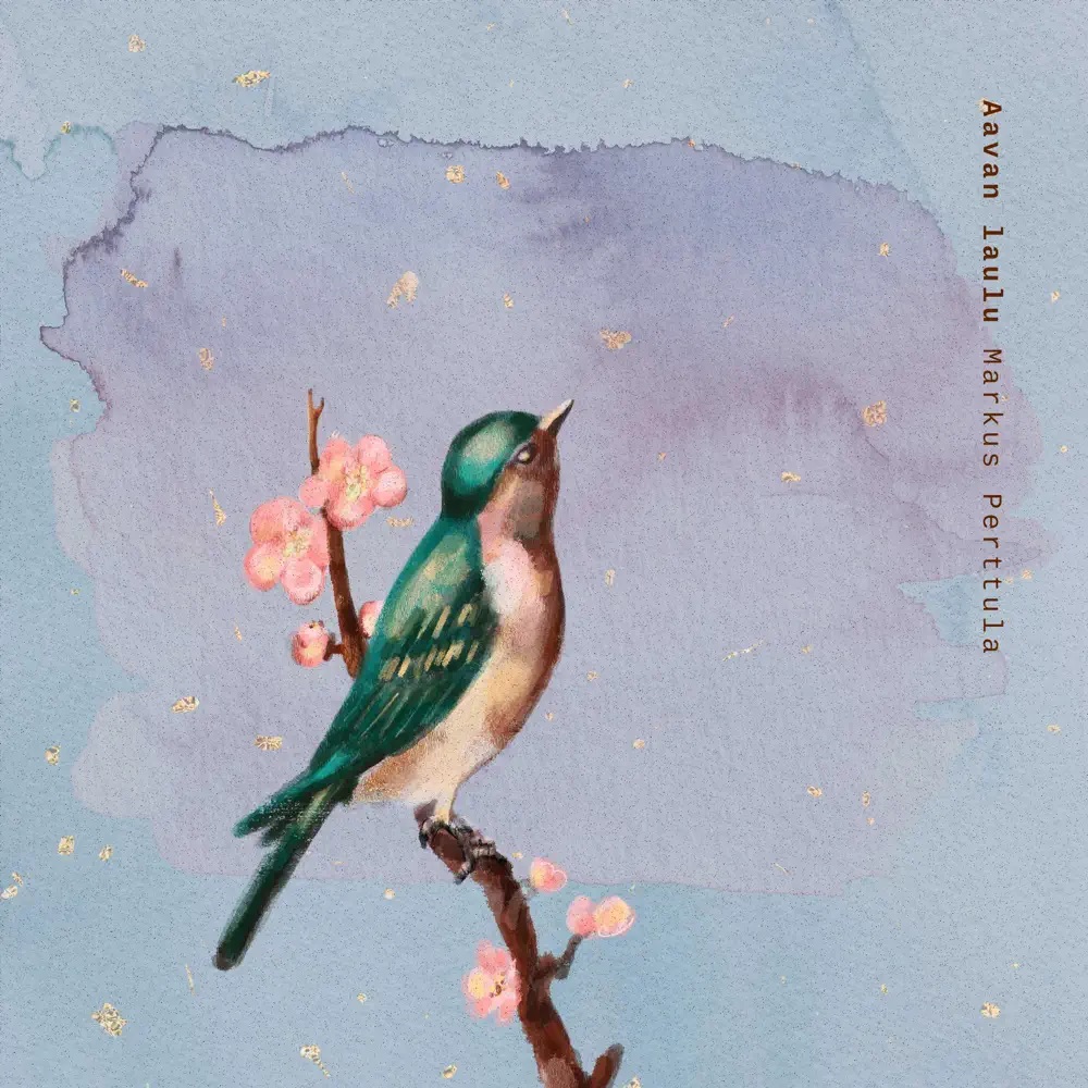 Markus Perttula — Aavan laulu cover artwork