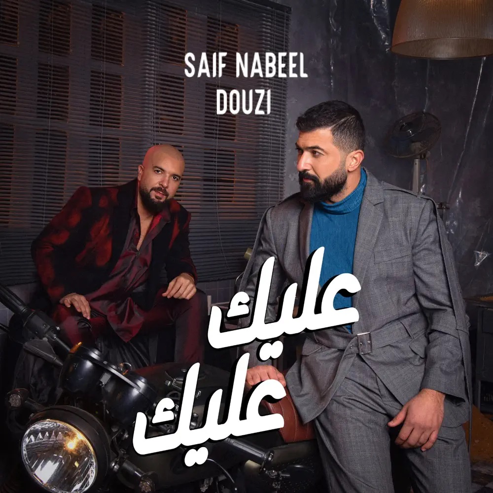 Saif Nabeel & Douzi — Aleik Aleik cover artwork