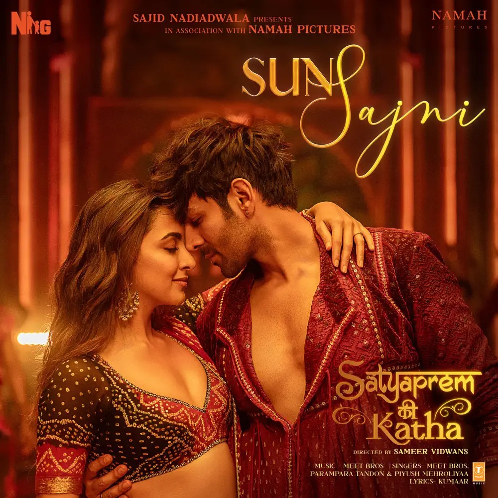 meet bros., Parampara Tandon, & Piyush Mehroliyaa — Sun Sajni cover artwork