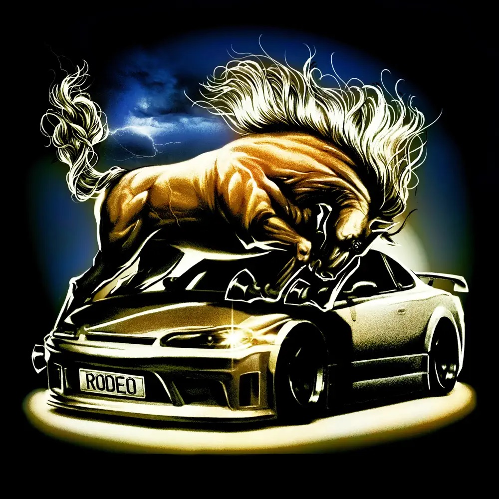 anice — rodeo cover artwork