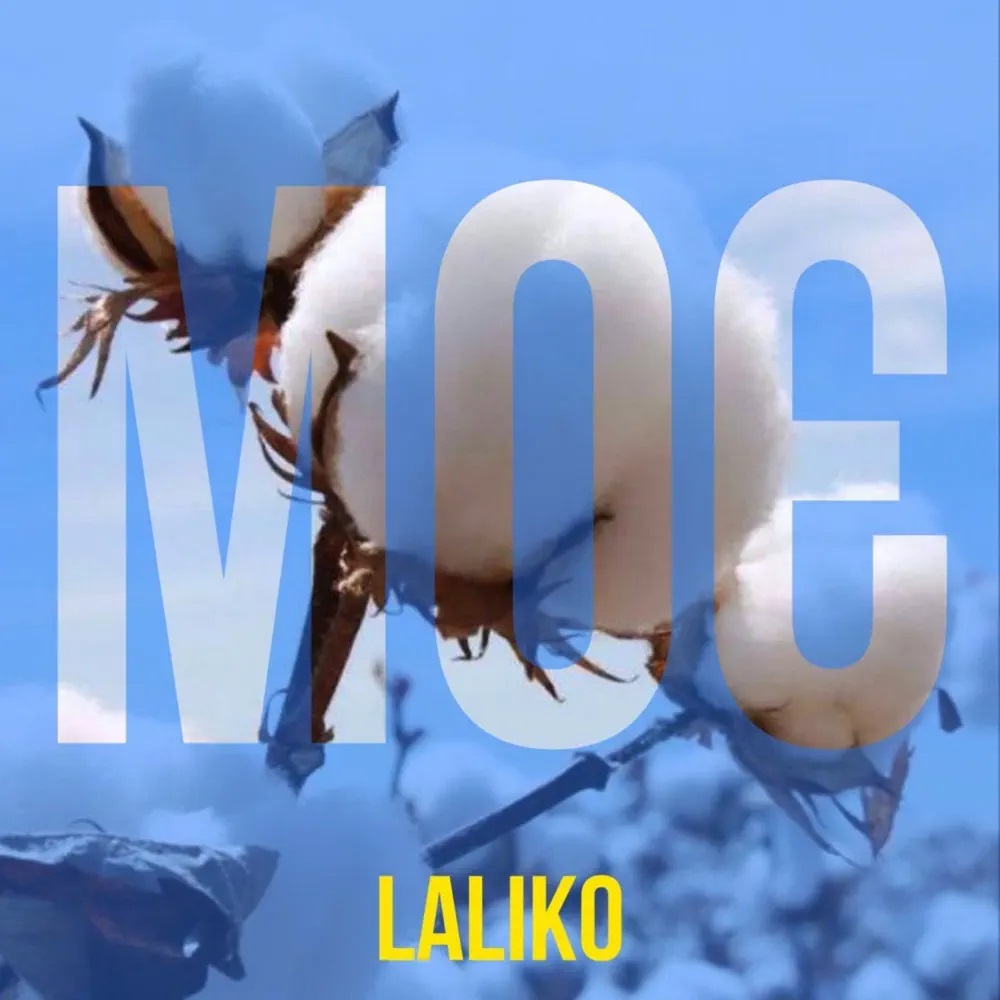Laliko — МОЄ cover artwork