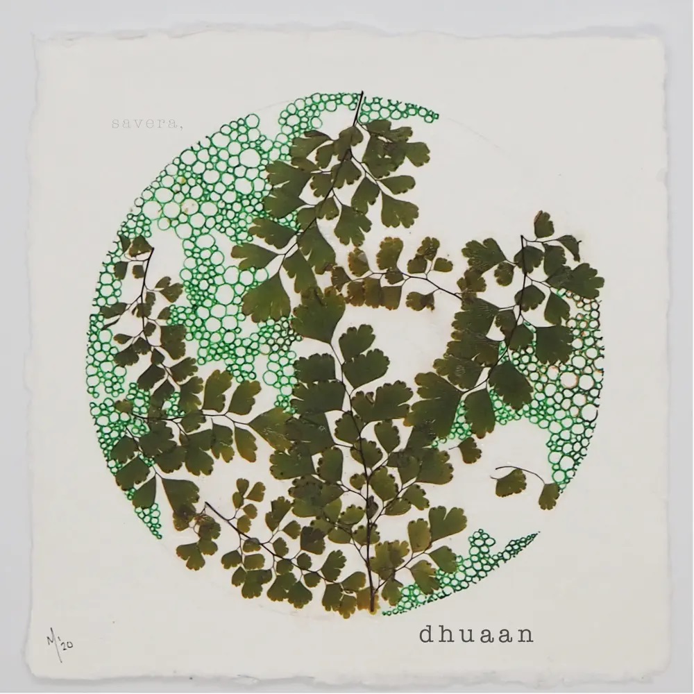 Savera — Dhuaan cover artwork