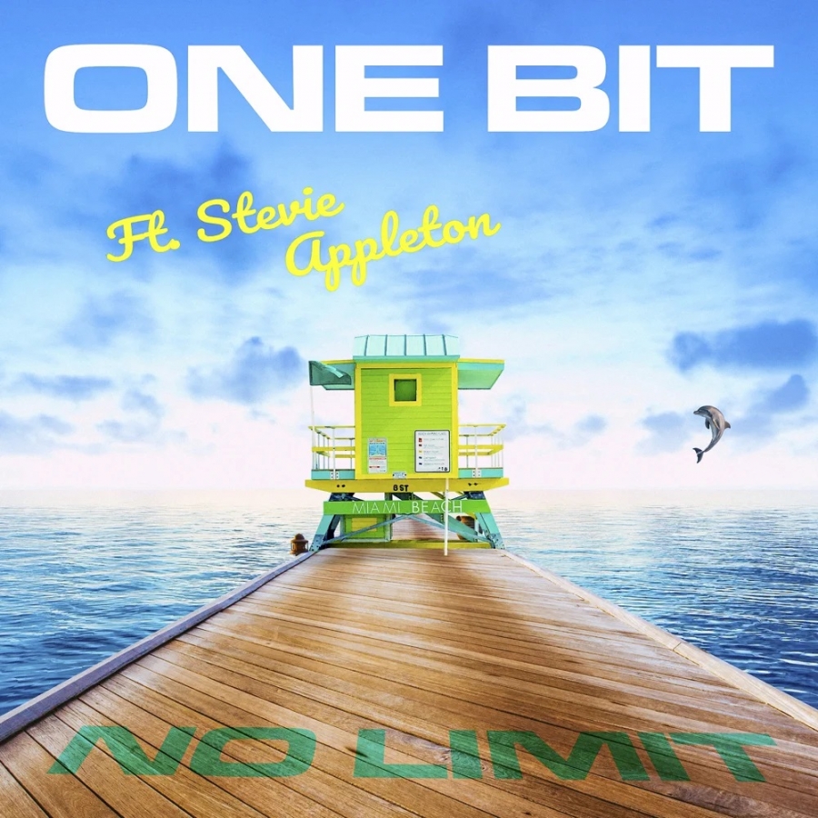 One Bit featuring Stevie Appleton — No Limit cover artwork