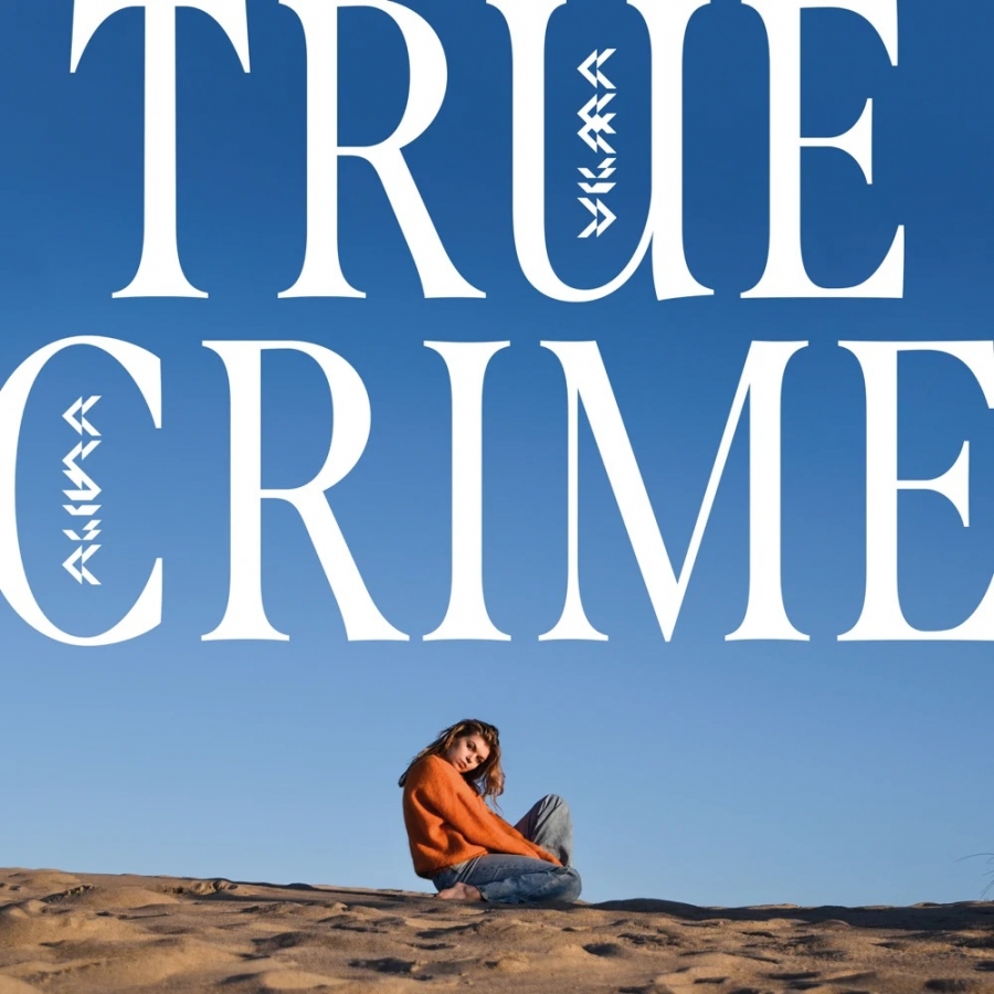 Vilma Alina True Crime cover artwork