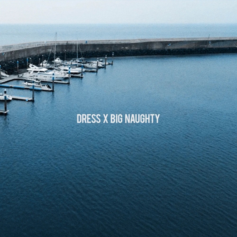 BIG Naughty & dress ft. featuring Zior Park Bourgeois cover artwork