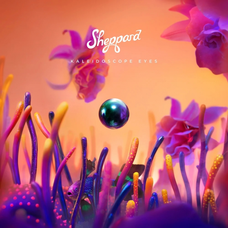 Sheppard — Animals cover artwork