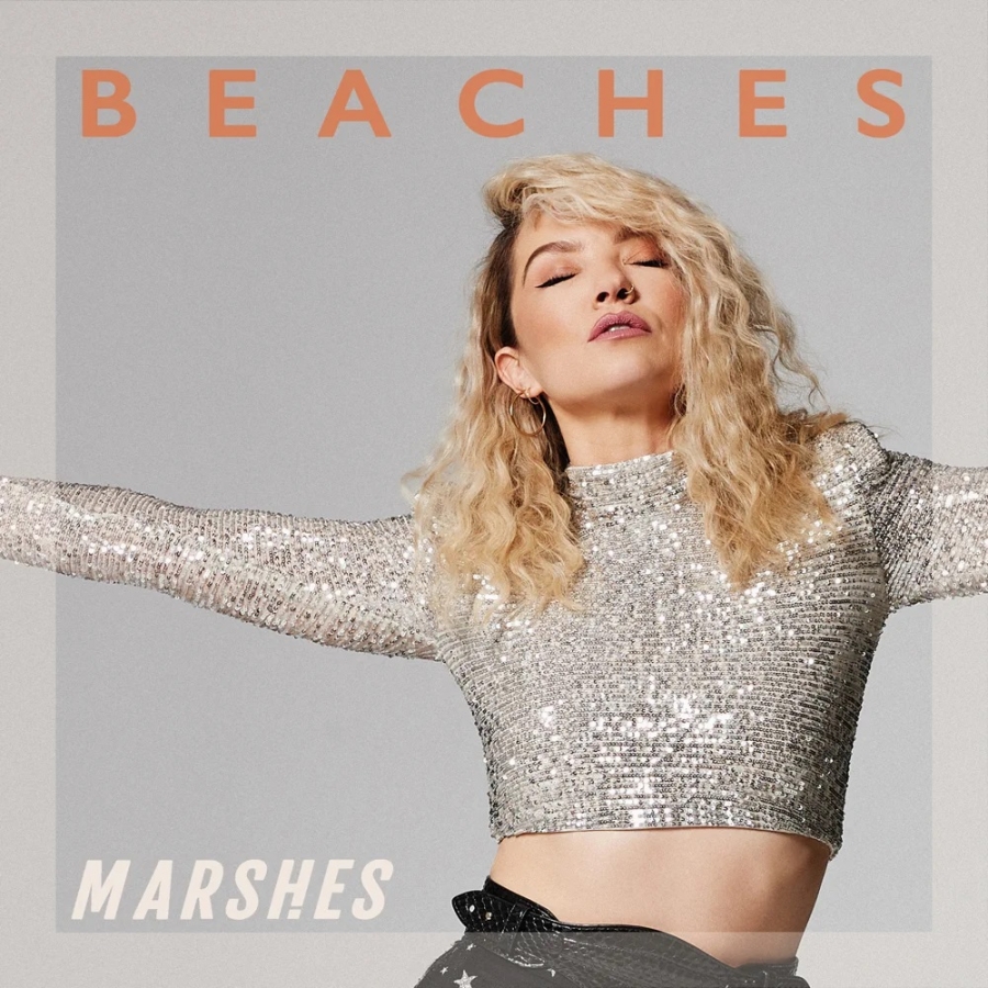 MARSHES — BEACHES cover artwork