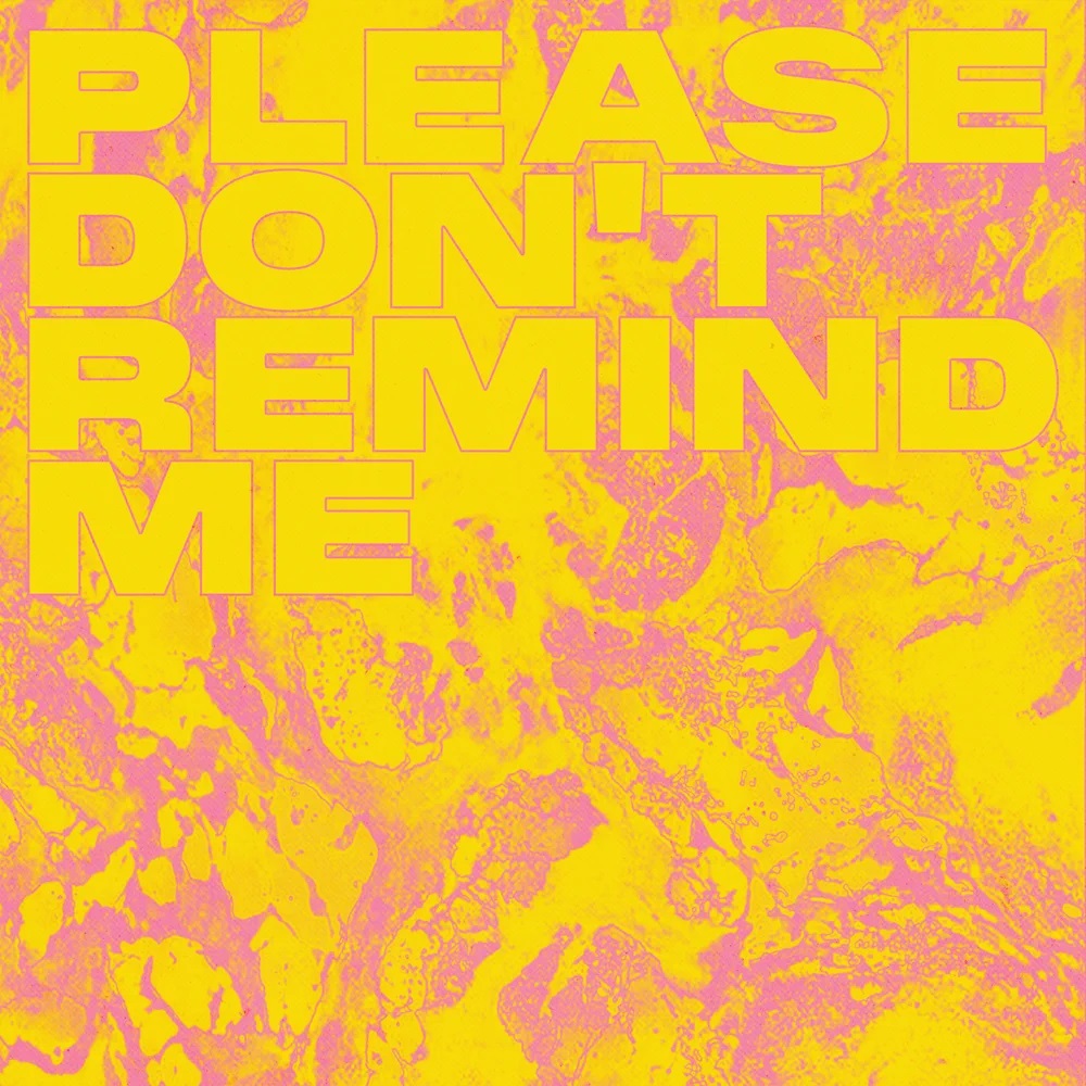 Hellberg featuring Rodney Chrome — Please Don&#039;t Remind Me cover artwork