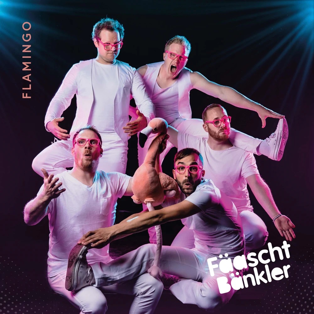 Fäaschtbänkler — Flamingo cover artwork