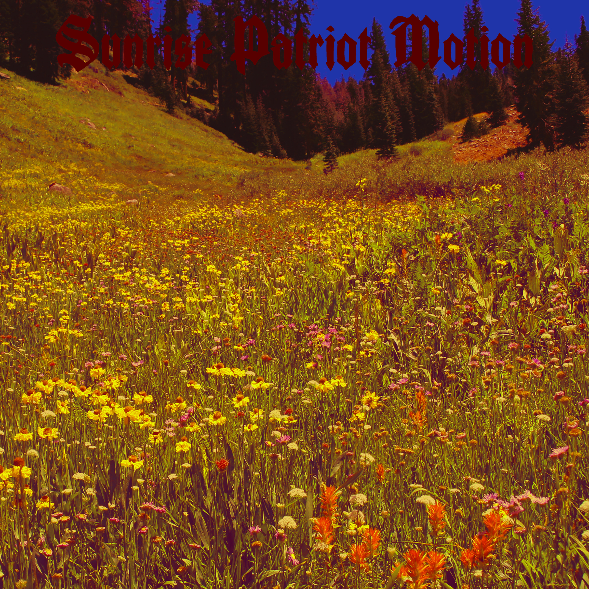 Sunrise Patriot Motion — Sunrise Labyrinthian cover artwork