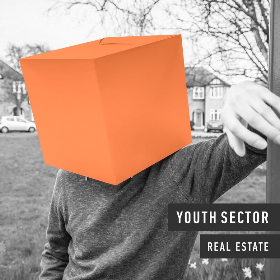 Youth Sector — Real Estate cover artwork