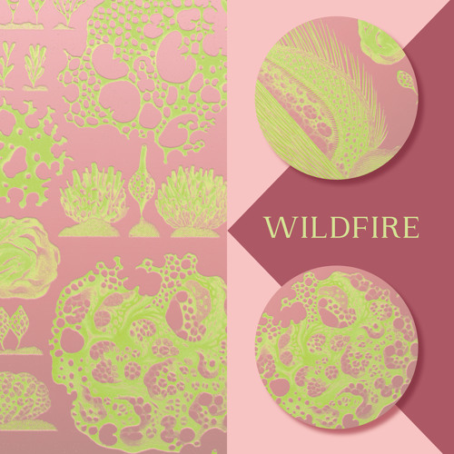 Dusky — Wildfire cover artwork