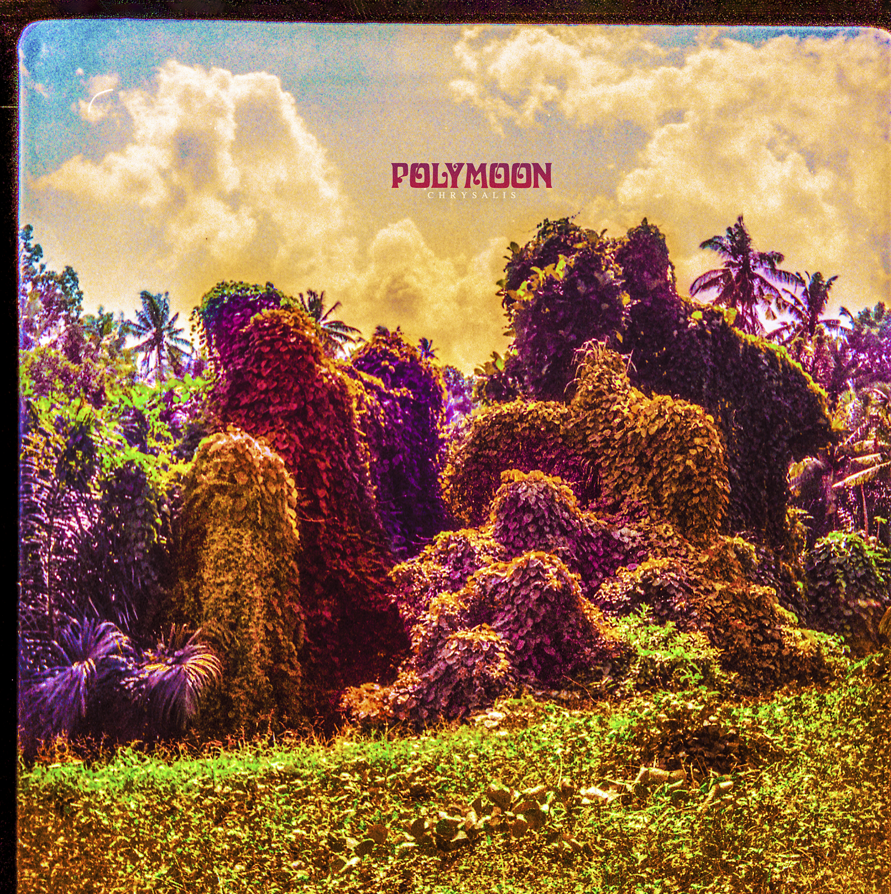 Polymoon — Wave Back to Confusion cover artwork