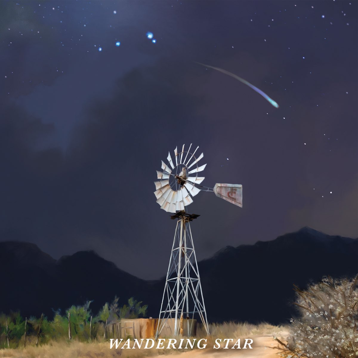 Flatland Cavalry Wandering Star cover artwork