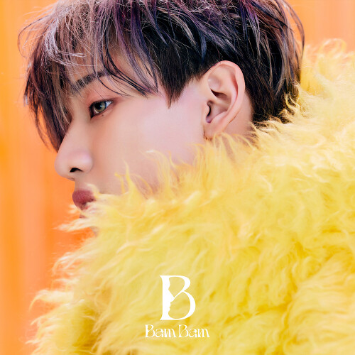 BamBam (GOT7) B - EP cover artwork