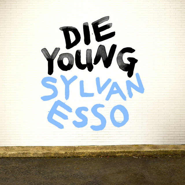 Sylvan Esso Die Young cover artwork