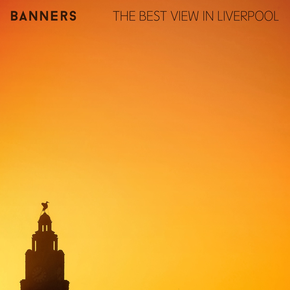 BANNERS The Best View In Liverpool cover artwork