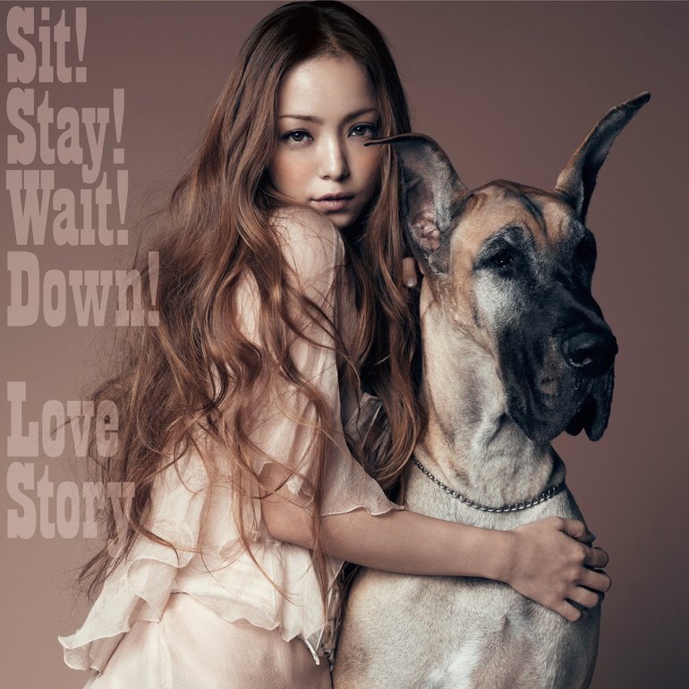 Namie Amuro — Sit! Stay! Wait! Down! cover artwork
