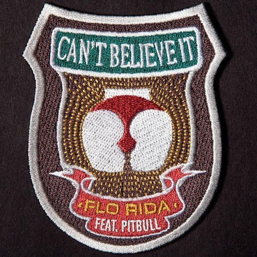 Flo Rida featuring Pitbull — Can&#039;t Believe It cover artwork