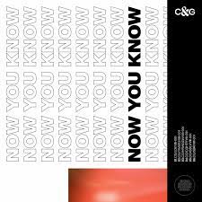 CVIRO & GXNXVS Now You Know (EP) cover artwork