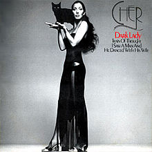 Cher Dark Lady cover artwork