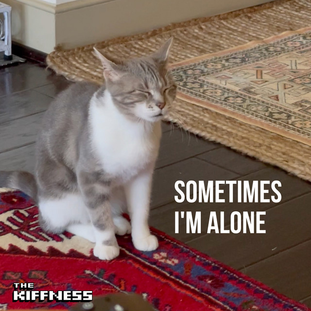 The Kiffness Sometimes I&#039;m Alone (Lonely Cat) cover artwork
