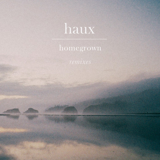 Haux Homegrown (Empty Woods Remix) cover artwork