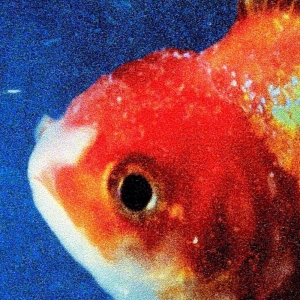 Vince Staples Big Fish Theory cover artwork