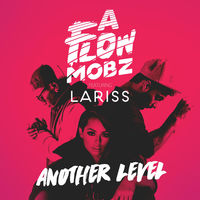 A Flow Mobz featuring Lariss — Another Level cover artwork