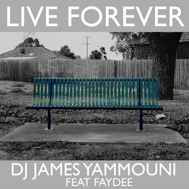 DJ James Yammouni featuring Faydee — Live Forever cover artwork