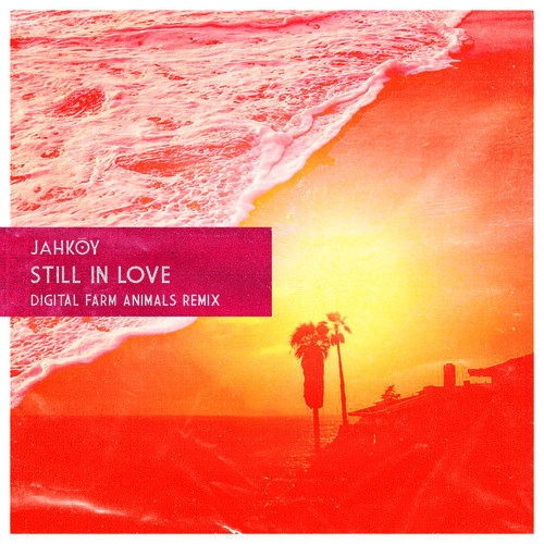 JAHKOY — Still In Love (Digital Farm Animals remix) cover artwork