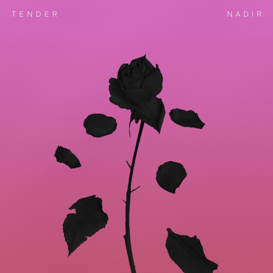 TENDER — Nadir cover artwork