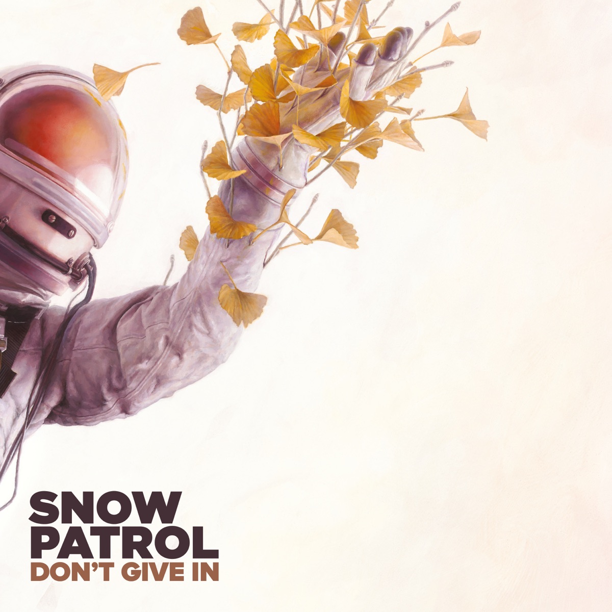 Snow Patrol Don&#039;t Give In cover artwork