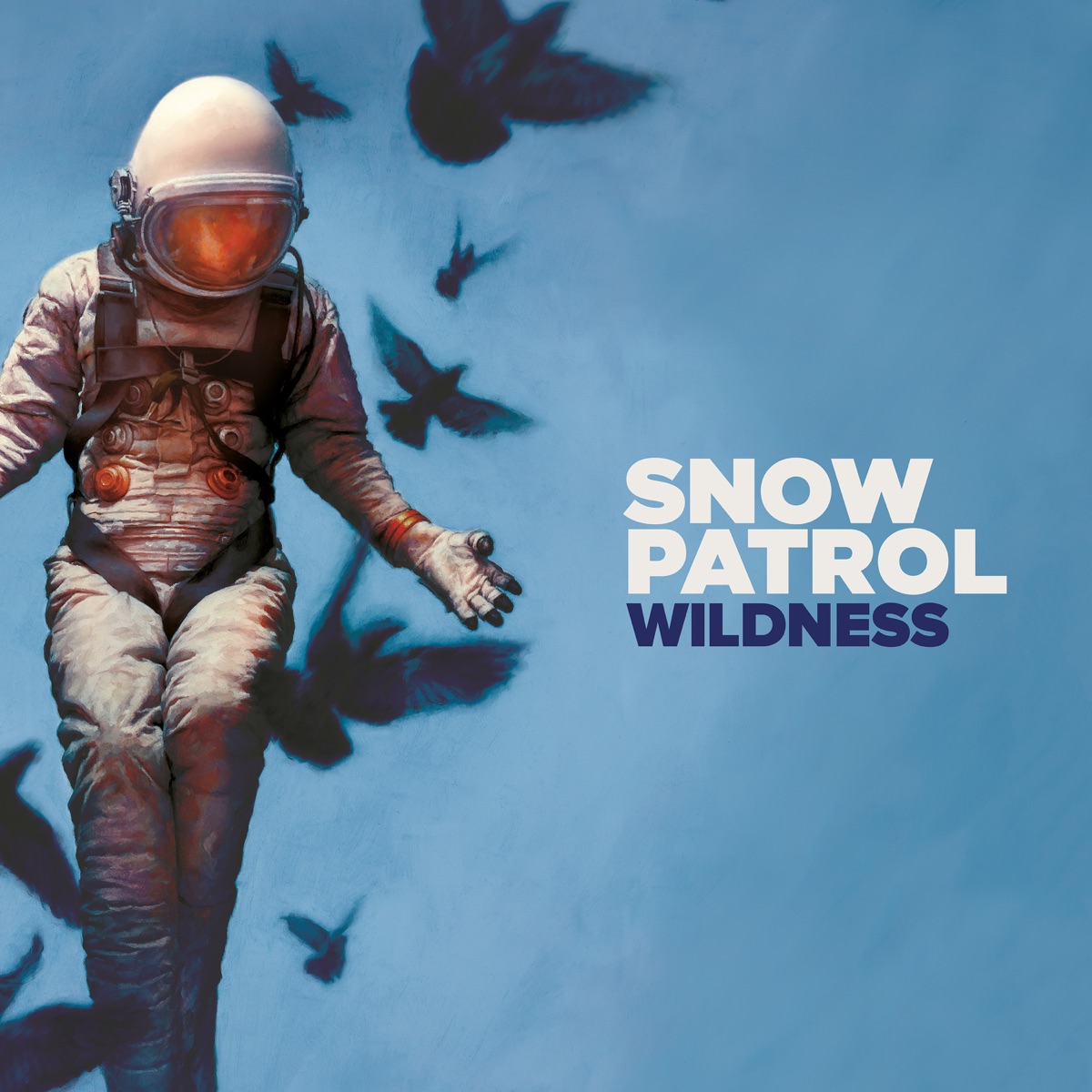 Snow Patrol Wildness cover artwork