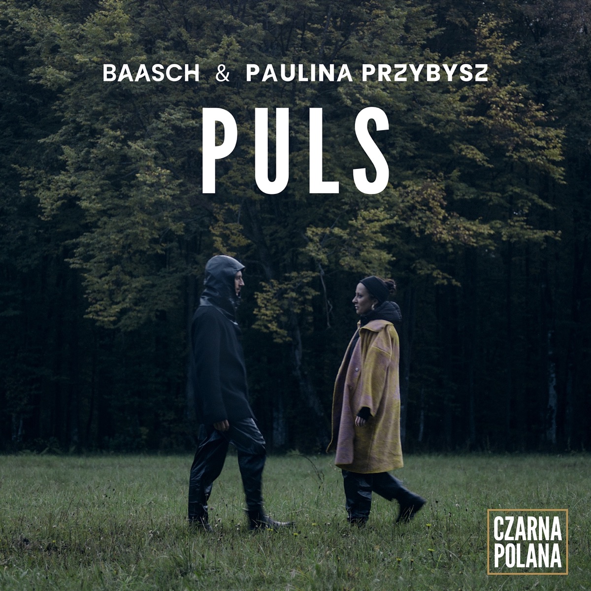 Baasch & Paulina Przybysz — Puls cover artwork